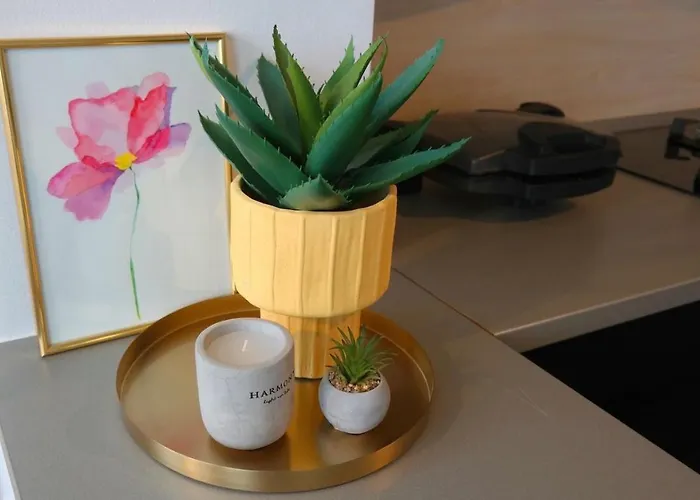 شقة Flora