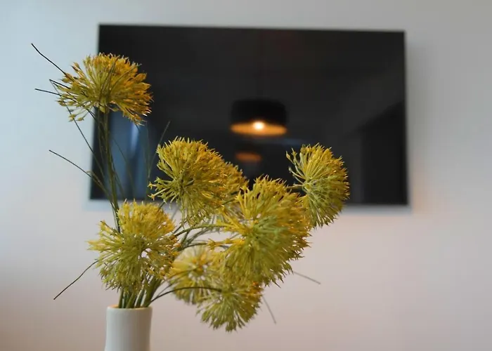 Apartament Flora Pula