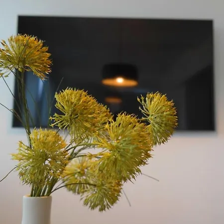 Apartamento Flora Pula